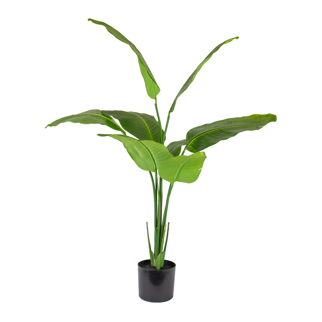 BOPPLT 120CM HI RES