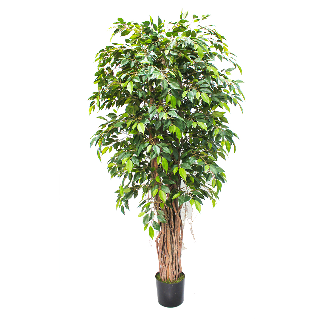 FIC-MINFIC180CM