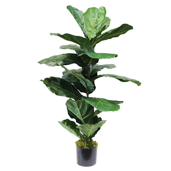 FLF-BCH 100CM 95X118 WEB