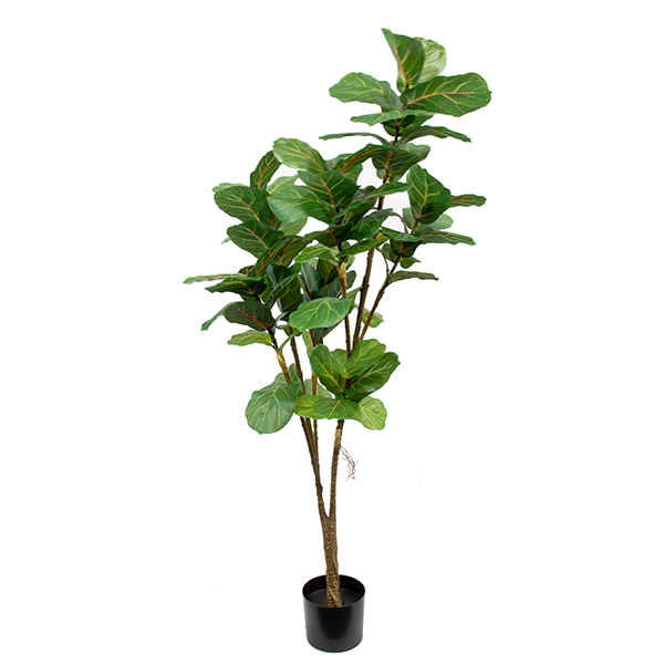 FLF_FIDDTR_180CM HI RES