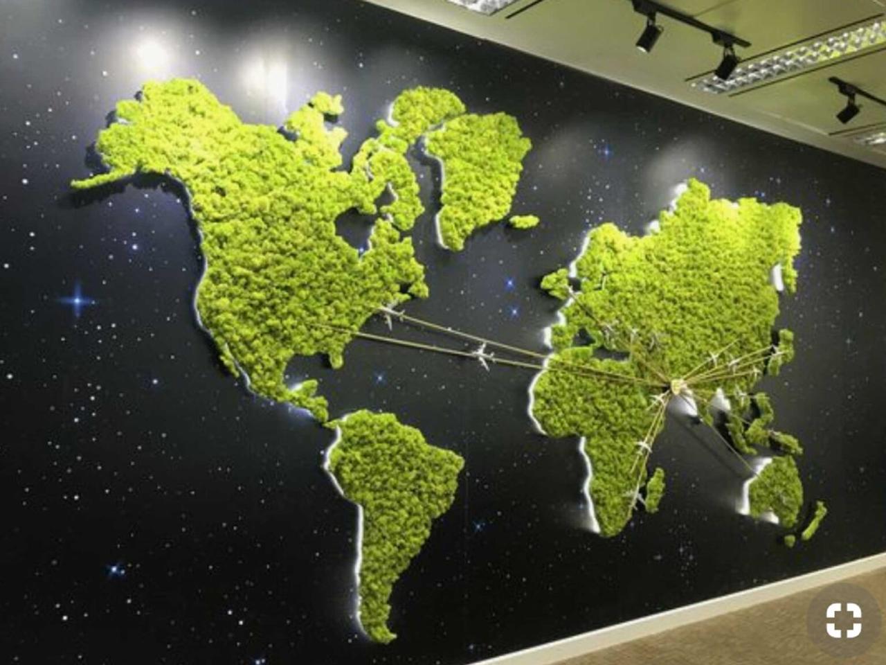 Moss Green Wall