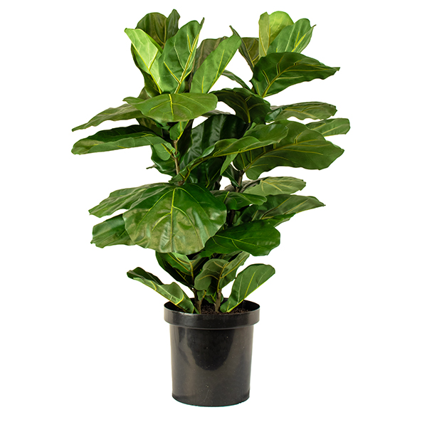 OP_FLF100X2_32CM HI RES