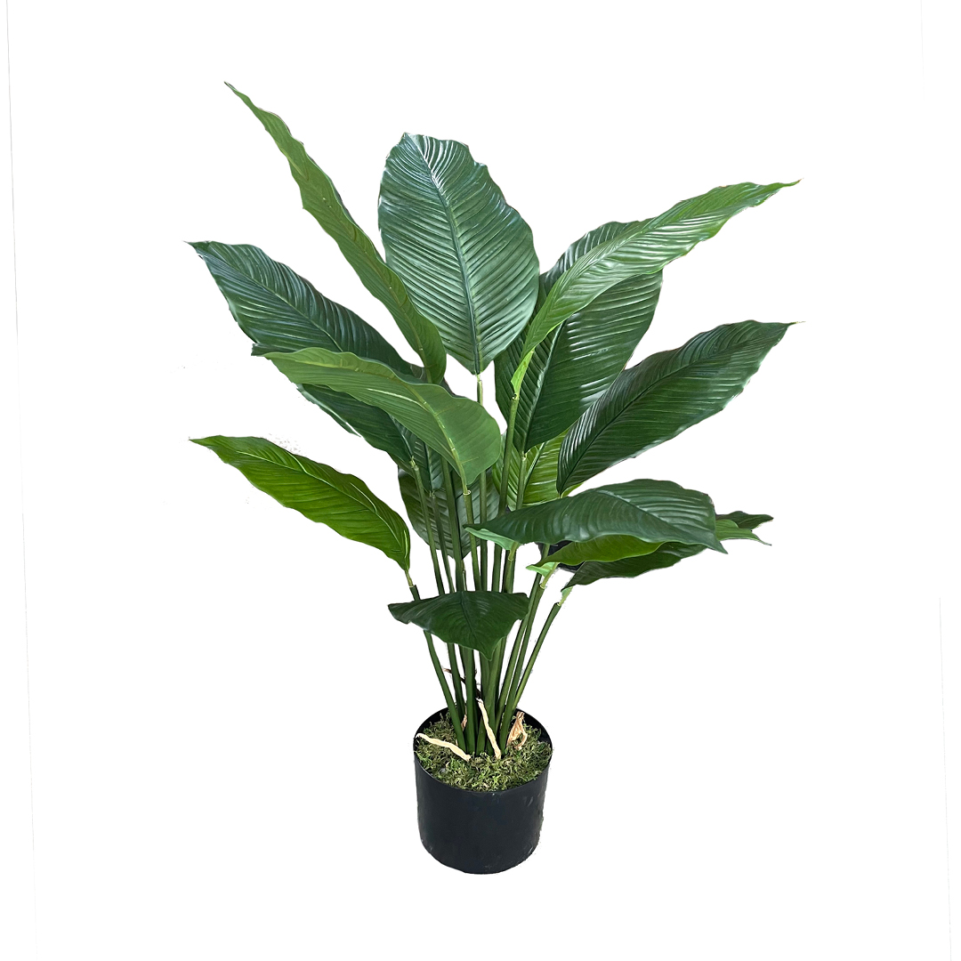 SML-SPAT80CM-WITHOUT FLOWERS