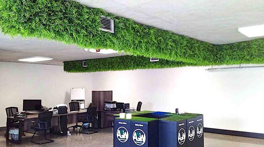 Ceiling Plants