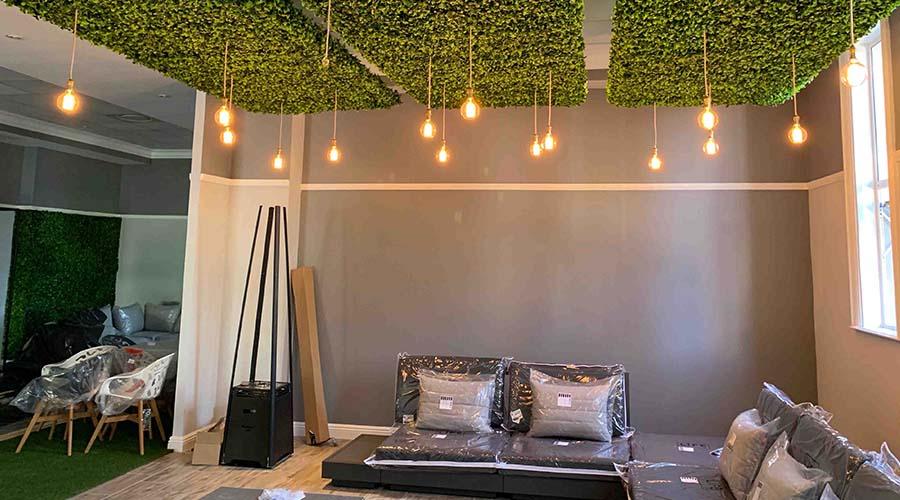 Ceiling Plants