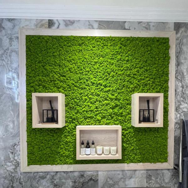 Moss Green Wall