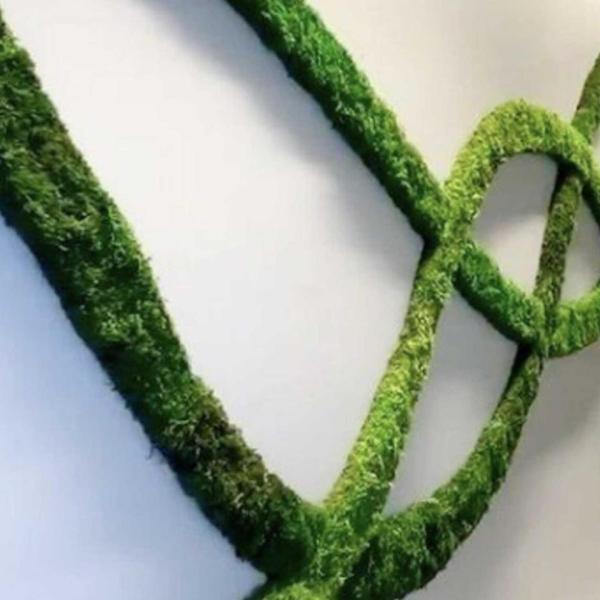 Moss Green Wall