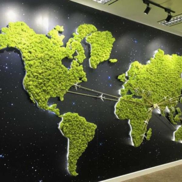 Moss Green Wall