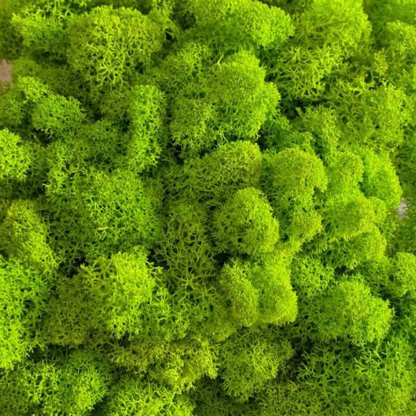 Moss