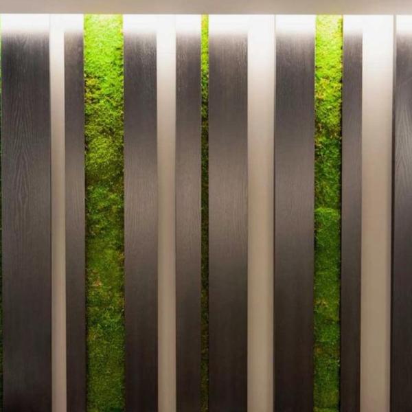 Moss Green Wall