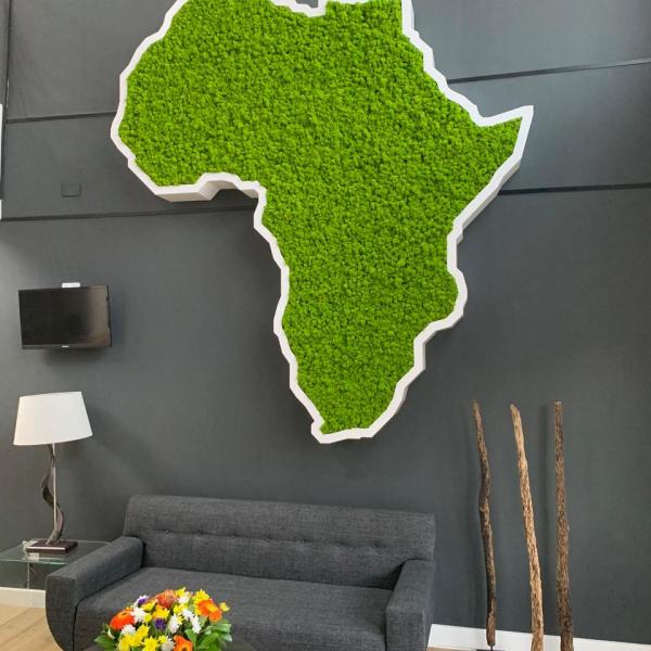 Moss Green Wall