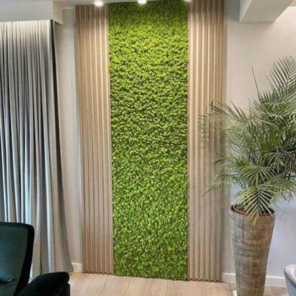 Moss Green Wall